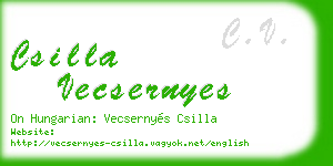 csilla vecsernyes business card